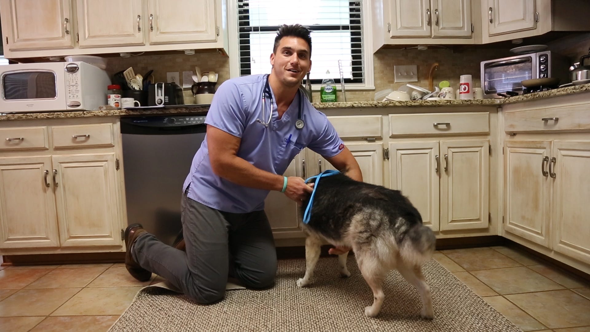 mueller's animal hospital